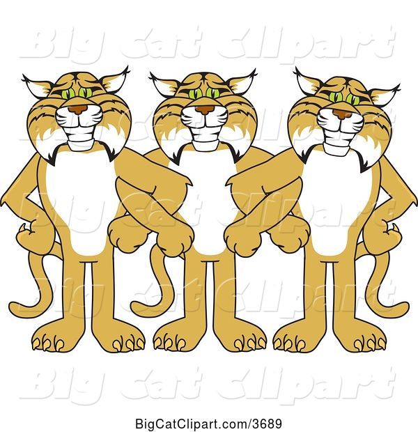 Vector Clipart of Cartoon Bobcat School Mascots Standing with Linked Arms, Symbolizing Loyalty