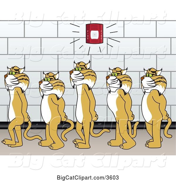 Vector Clipart of Cartoon Bobcat School Mascots Walking in Line in a Hallway As a Fire Alarm Goes Off, Symbolizing Safety