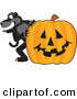 Big Cat Cartoon Vector Clipart of a Happy Black Jaguar Mascot Character with a Halloween Pumpkin by Mascot Junction