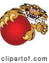 Big Cat Cartoon Vector Clipart of a Vicious Tiger Character School Mascot Grabbing a Red Ball by Mascot Junction
