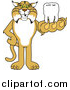 Big Cat Vector Clipart of a Bobcat Holding a Tooth by Mascot Junction