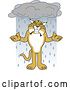 Vector Clipart of a Cartoon Bobcat School Mascot Shrugging in the Rain, Symbolizing Acceptance by Mascot Junction