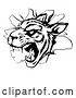 Vector Clipart of a Vicious Tiger Mascot Breaking Through a Wall - Black and White Version by AtStockIllustration