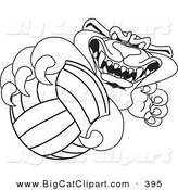 Big Cat Cartoon Vector Clipart of a Black Outline of a Panther Character Mascot Grabbing a Volleyball by Mascot Junction