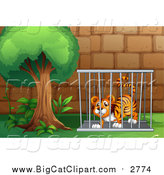 Big Cat Cartoon Vector Clipart of a Caged Tiger by