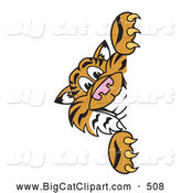 Big Cat Cartoon Vector Clipart of a Cheerful Tiger Character School Mascot Looking Around a Sign by Mascot Junction