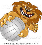 Big Cat Cartoon Vector Clipart of a Comeptitive Lion Character Mascot Grabbing a Volleyball by Toons4Biz