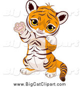 Big Cat Cartoon Vector Clipart of a Cute Baby Tiger Cub Sitting up and Gesturing Playfully with His Paws by Pushkin
