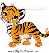 Big Cat Cartoon Vector Clipart of a Cute Baby Tiger Cub Tilting His Head by Pushkin