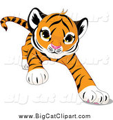 Big Cat Cartoon Vector Clipart of a Cute Tiger Crawling Forward by Pushkin