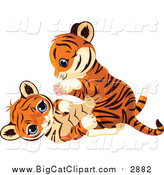 Big Cat Cartoon Vector Clipart of a Cute Tiger Cubs Being Playful by Pushkin