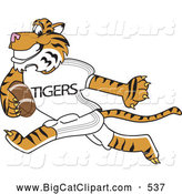 Big Cat Cartoon Vector Clipart of a Energetic Tiger Character School Mascot Playing Football by Mascot Junction