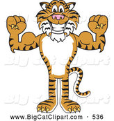 Big Cat Cartoon Vector Clipart of a Grinning Tiger Character School Mascot Flexing by Mascot Junction