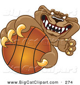 Big Cat Cartoon Vector Clipart of a Growling Cougar Mascot Character Grabbing a Basketball by Mascot Junction