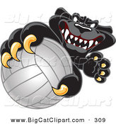 Big Cat Cartoon Vector Clipart of a Happy Black Jaguar Mascot Character Grabbing a Volleyball by Toons4Biz