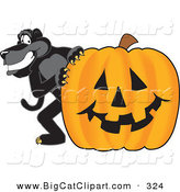 Big Cat Cartoon Vector Clipart of a Happy Black Jaguar Mascot Character with a Halloween Pumpkin by Toons4Biz