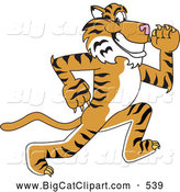 Big Cat Cartoon Vector Clipart of a Happy Tiger Character School Mascot Running by Toons4Biz