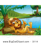 Big Cat Cartoon Vector Clipart of a King Lion Resting and Talking on a River Beach by