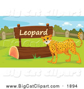 Big Cat Cartoon Vector Clipart of a Leopard by a Sign by