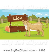 Big Cat Cartoon Vector Clipart of a Lioness by a Sign by