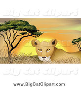 Big Cat Cartoon Vector Clipart of a Lioness in Grass at Sunset by