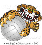 Big Cat Cartoon Vector Clipart of a Mad Cheetah, Jaguar or Leopard Character School Mascot Grabbing a Volleyball by Toons4Biz