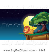 Big Cat Cartoon Vector Clipart of a Male Lion Resting on a Cliff at Night by