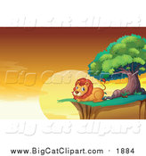 Big Cat Cartoon Vector Clipart of a Male Lion Resting on a Cliff at Sunset by