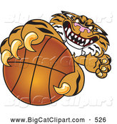 Big Cat Cartoon Vector Clipart of a Mean Tiger Character School Mascot Grabbing a Basketball by Toons4Biz