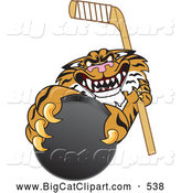 Big Cat Cartoon Vector Clipart of a Mean Tiger Character School Mascot Grabbing a Hockey Puck by Toons4Biz