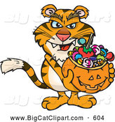 Big Cat Cartoon Vector Clipart of a Scary Trick or Treating Tiger Holding a Pumpkin Basket Full of Halloween Candy by Dennis Holmes Designs