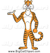Big Cat Cartoon Vector Clipart of a Tiger Presenting and Standing Upright by Cartoon Solutions