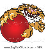 Big Cat Cartoon Vector Clipart of a Vicious Tiger Character School Mascot Grabbing a Red Ball by Toons4Biz