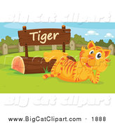 Big Cat Cartoon Vector Clipart of a Zoo Tiger Resting by a Sign by