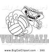 Big Cat Cartoon Vector Clipart of an Outline Design of a Panther Character Mascot with Volleyball Text by Mascot Junction