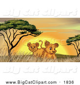 Big Cat Cartoon Vector Clipart of Lion Cubs by Trees and Grass at Sunset by
