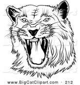 Big Cat Clipart of a Black and White Hissing Panther on WhiteBlack and White Hissing Panther on White by Dero
