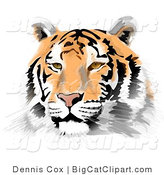 Big Cat Clipart of a Handsome Tiger Face by Djart