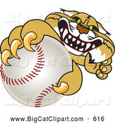 Big Cat Vector Clipart of a Aggressive Bobcat Character Grabbing a Baseball by Toons4Biz