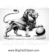 Big Cat Vector Clipart of a Black and White Lion Resting a Paw on a Ball by BestVector
