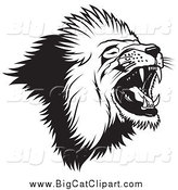 Big Cat Vector Clipart of a Black and White Roaring Lion by Dero