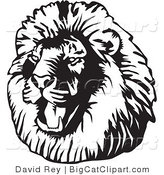Big Cat Vector Clipart of a Black and White Roaring Male Lion Head Facing Left by David Rey