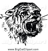 Big Cat Vector Clipart of a Black and White Scared Tiger by Prawny Vintage