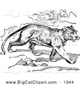 Big Cat Vector Clipart of a Black and White Walking Cougar by Prawny Vintage