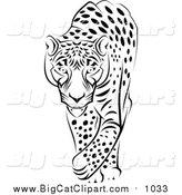 Big Cat Vector Clipart of a Black and White Walking Jaguar by Vector Tradition SM