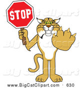 Big Cat Vector Clipart of a Bobcat Holding a Stop Sign by Mascot Junction