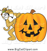 Big Cat Vector Clipart of a Bobcat with a Pumpkin by Mascot Junction
