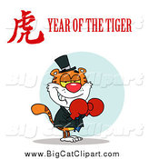 Big Cat Vector Clipart of a Boxer Cat with a Year of the Tiger Chinese Symbol and Text by Hit Toon