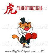 Big Cat Vector Clipart of a Boxer Tiger with a Year of the Tiger Chinese Symbol and Text by Hit Toon