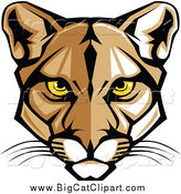 Big Cat Vector Clipart of a Cougar Face with Yellow Eyes by Chromaco